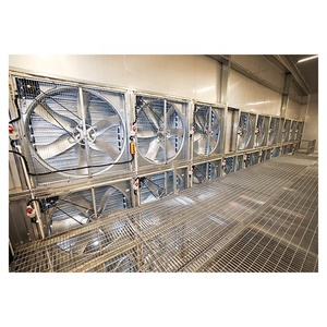 H Loại pin lớp gà lồng nhúng nóng mạ kẽm tự động Trứng Gia cầm hệ thống thiết bị nông nghiệp - Product Image 5