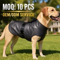 Veste d'hiver pour chien de créateur en cuir noir carbone et fourrure de mouton, la plus chaude, avec ceinture à œillets métalliques, prix de gros