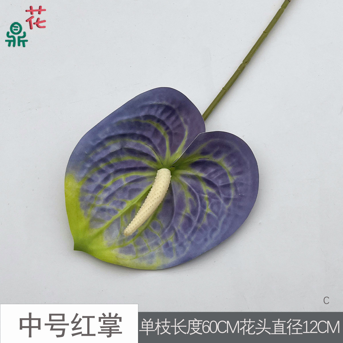 Anthurium rouge moyen C 13 bleu