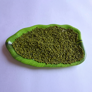 Indian <b>Green</b> Moong Whole Beans Fresh Crop Premium Quality Pulses for Wholesale Export <b>Food</b> Processing FitTree International - Product Image 1