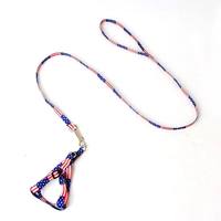 Laisse réglable pour chiot, chien, chat, accessoires pour animaux de compagnie, harnais mignon pour chien