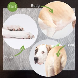Lingettes humides pour le toilettage des animaux de compagnie pour nettoyer les pattes, les oreilles, les yeux et les dents des chiens et des chats - Product Image 2