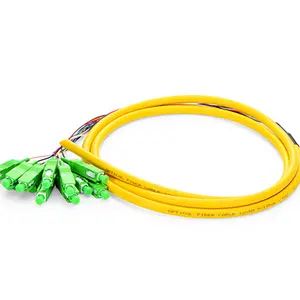 10 M Bundel Glasvezel Pigtail Serie Ftth 12 Cores Fan-Out Bundel En Lint Lc Sc Glasvezel pigtail