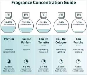 Высококачественные классические роскошные духи Donna Born in Roma Valen, 100 мл, женские оригинальные духи, стойкие, интенсивные, для тела, мужские ароматы - Product Image 3