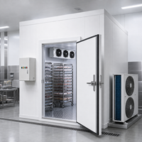 Mini-chambre froide pour la conservation de la viande avec unité de condensation refroidie par air et unité de refroidissement de type DD