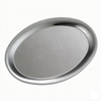 Koreaanse stijl roestvrijstalen serveerschaal, moderne ovale dessertbord voor café, cake, snack, fruitpresentatie, commercieel serviesgoed