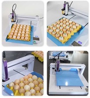 NP merek mesin Printer Laser telur, mesin cap telur Printer Inkjet untuk telur
