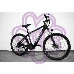 MINMAX Ebike 2021 Bán Chạy Mua Chất Béo Xe Đạp E Xe Đạp 1000W E Xe Đạp 2020 Xe Đạp Điện Thời Trang <span class=keywords><strong>Munro</strong></span> 20 Xe Đạp Điện - Product Image 1