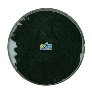 High Quality Chlorophyll Powder Sodium Copper Chlorophyllin