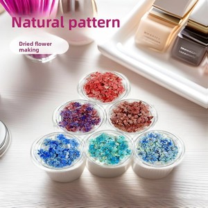 Flores Secas Naturales Mini, Empacadas al Vacío, Prensadas, para Arte <span class=keywords><strong>de</strong></span> Uñas, Precio <span class=keywords><strong>de</strong></span> Fábrica, Venta al Por Mayor - Product Image 3