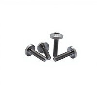 Vis Torx à grande bride en titane GR5, boulon à tête ronde pleine filetage pour modification de carénage de moto, tailles personnalisées
