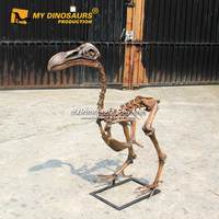 MY DINO AS-049 Squelette d'oiseau Dodo Animal préhistorique éducatif