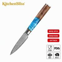 KitchenBliss Ultra Scherp Klein Keukenmes Volledig Gevormd 67-Lagen Damascus Staal Fruitmes 3,5 inch Schilmes