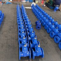 DN150 produk Manual kualitas tinggi katup gerbang Air Besi Ductile suhu tinggi