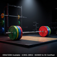 Plaques de poids colorées pour haltères, en acier, pour musculation et entraînement en salle de sport commerciale, 5-25 kg