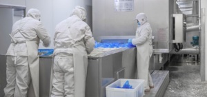 Filetti di YFS (Limanda Aspera) Surgelati di Alta Qualità Vendita all'Ingrosso e al Dettaglio Filetti di YFS Surgelati Freschi Più Venduti - Product Image 6