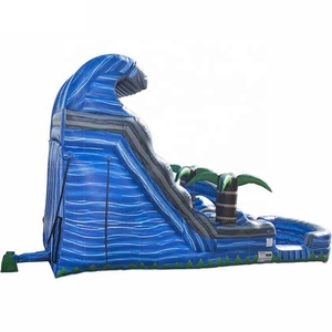 Ngoài trời thiết kế mới đôi Lane Inflatable screamer nước Roaring trượt và trượt với hồ bơi - Product Image 3