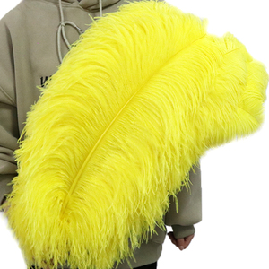 Chất lượng cao 70-75 cm 28-30inch lớn màu trắng đà điểu lông nhuộm bên lễ hội đám cưới trang trí thủ công số lượng lớn đà điểu chùm - Product Image 3