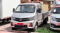 Camionnette Utilitaire Mini Diesel 4x2 Personnalisée CHANG, Moteur 4L, Transmission Automatique/Manuelle, Volant à Gauche, Vente de Mini Camions