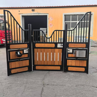 Box d'écurie équestre extérieure en métal HDG pour chevaux, garantie 1 an, hauteur 2,2 m, taille personnalisée certifiée, prix usine