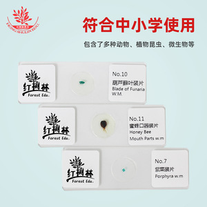 15 beautifully packaged <b>microscopic</b> slides for primary and secondary school laboratory lessons. - Product Image 2