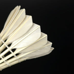 كرة ريشة بادمنتون احترافية من ريش الإوز المبيض DunRun <span class=keywords><strong>DR</strong></span>-11، متينة للغاية وذات أداء جيد للمباريات والتدريب - Product Image 5