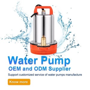 <span class=keywords><strong>Pompe</strong></span> submersible CC 12V/24V en acier inoxydable pour l'industrie automobile OEM, <span class=keywords><strong>arrosage</strong></span> à basse pression, légumes, petite <span class=keywords><strong>pompe</strong></span> à batterie 2LPM - Product Image 1