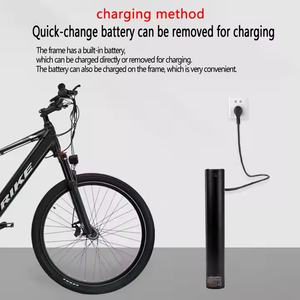 Bicicleta Eléctrica Nueva con Suspensión Completa, 48V, Bicicleta Eléctrica de Montaña Todoterreno - Product Image 2