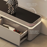Ensemble meuble TV et table basse de luxe moderne avec rangement intégré pour salon – Mobilier haut de gamme pour la maison