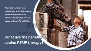 Kaphatech terapi Pemf penemuan baru untuk kuda PMST Loop Pemf, perangkat Terapi magnetik kuda, peralatan rehabilitasi pergelangan kaki - Product Image 6