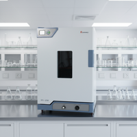 Four de séchage électrique professionnel de laboratoire grande taille à prix abordable pour le séchage de moteurs