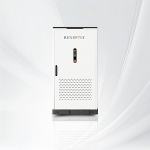 Sistema de Almacenamiento de Energía Solar Renepoly con Batería LiFePO4, Sistema de Almacenamiento de Energía Industrial y Comercial de 100kW 215kWh - Product Image 1