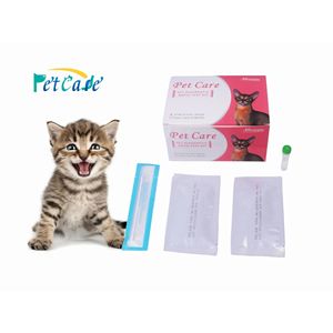 동물 백혈병에 대한 고양이 무료 샘플 약물 테스트 <span class=keywords><strong>FIV</strong></span> Ab/<span class=keywords><strong>FeLV</strong></span> Ag 복합 신속 테스트 수의사 진단 홈 테스트 - Product Image 2