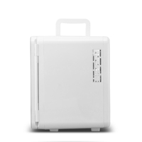 Petit réfrigérateur personnalisé, 10l, pour soins cosmétiques, pour maquillage, beauté de la peau, avec lumière LED, miroir, 12v