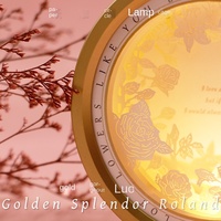 Kit de Lanterne 3D Vdyuan en Papier Découpé Rose, Lumière Nocturne Faite à la Main, Ensemble de Bricolage Portable, Petite Lampe de Style Chinois Culturel