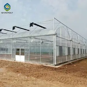 Fabricants de serres Sainpoly de film plastique à travées multiples serres serre agricole avec matériel d'irrigation et hydroponique