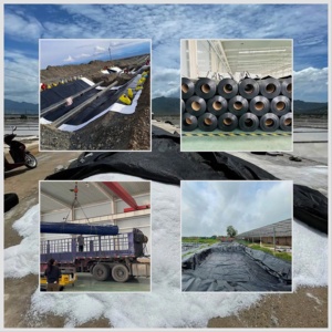 Không thấm nước HDPE màng 1.0mm-2.0mm dày chống UV EPDM lót cao su cho bể bơi ao cá geomembrane đập PVC <span class=keywords><strong>LDPE</strong></span> - Product Image 3