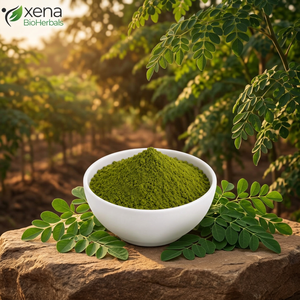 Fabricant d'extrait de Moringa Oleifera en poudre, extrait naturel de Moringa Oleifera séché, vente en gros en vrac - Product Image 1