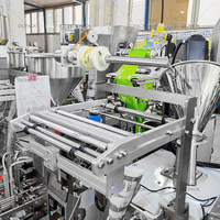 Machine d'emballage automatique pour épices, 24 pièces, pour farine, piment, rouge, noir, poivre et poudre