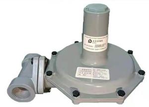 Válvula Reguladora de Presión de GLP de Latón Industrial para Quemador de Tanque de Gas, Reductor de Presión de Gas - Product Image 2