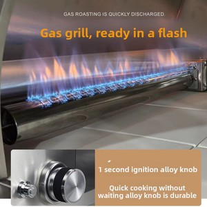Forno <span class=keywords><strong>per</strong></span> <span class=keywords><strong>Pizza</strong></span> Italiano da Esterno in Acciaio Inox, Griglia <span class=keywords><strong>a</strong></span> <span class=keywords><strong>Gas</strong></span> Multifunzionale Antiruggine <span class=keywords><strong>per</strong></span> Cottura e Grigliate - Product Image 3