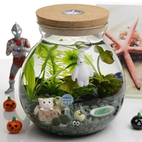 Terrarium en verre micro-paysage avec lumière, récipient en verre borosilicate fait main, pot en verre rond transparent avec couvercle en liège