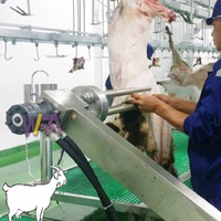 Chaîne de production automatisée pour l'abattage de chèvres – Équipement de transformation pour abattoirs