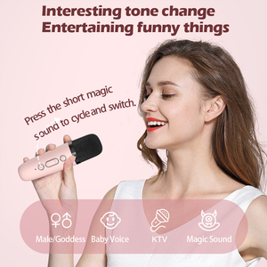 BTSM-02B वायरलेस पोर्टेबल ब्लूटूथ स्पीकर माइक्रोफोन के साथ स्टीरियो आउटडोर उपयोग के लिए कश्मीर गीत विशेष - Product Image 6