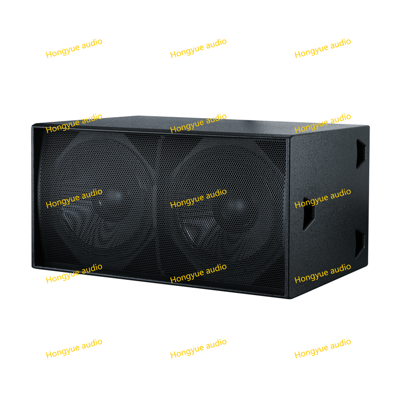 Dual 10 Inch Stage Passive Linear