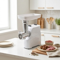 Hachoir à viande électrique à interrupteur unique 600 W max, moteur en cuivre et aluminium, 3 plaques, tube à saucisses, fonction inversée, pour usage domestique