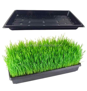 2021 מכירה לוהטת אוטומטית זריעה מגש ואקום להרכיב מכונה שתיל מגש ביצוע מכונת/thermoforming מכונה - Product Image 2