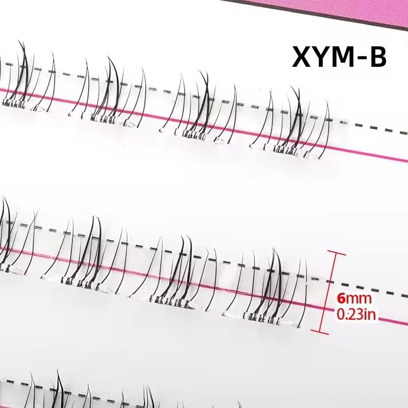 XYM-B   เอ็กซ์วายเอ็ม-บี