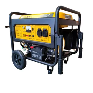 2.8kw 3KW 3000W Professional Portable Electric Motor Power Gasoline Generators sets