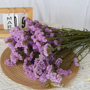 Decoración de Lujo para el Hogar, Flores Preservadas, Plantas, No <span class=keywords><strong>Me</strong></span> Olvides, Ramo Duradero, Boda, Año Nuevo Chino, Morado, Multicolor - Product Image 1